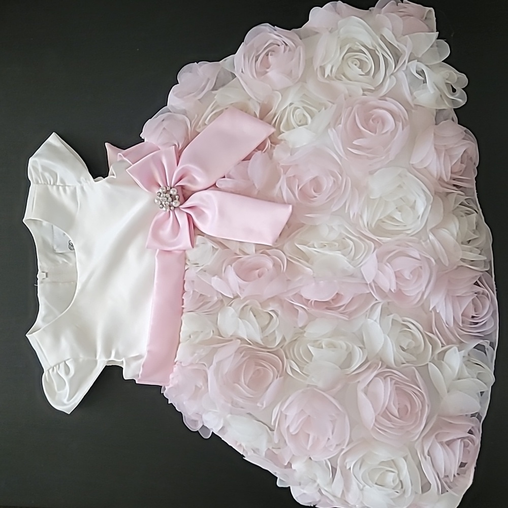 Rare Editions light pink 3D rose dress 18m